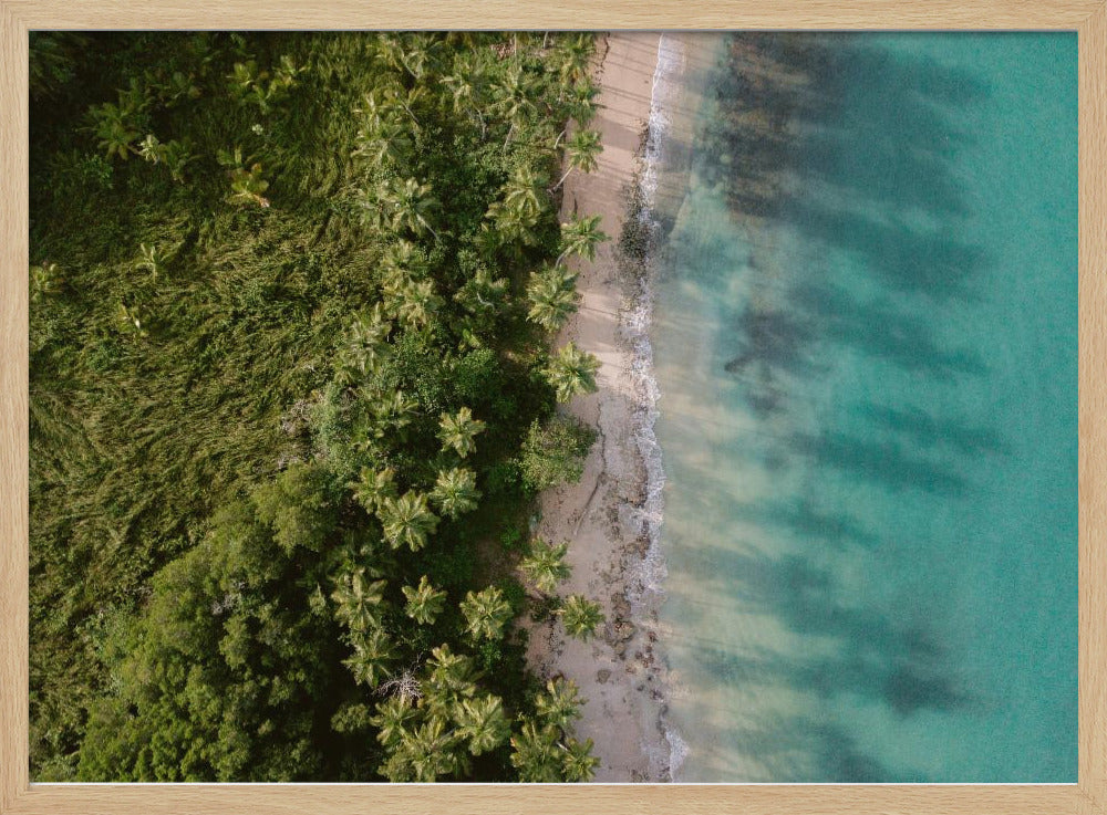 Grüner Strand von oben 2 | Poster