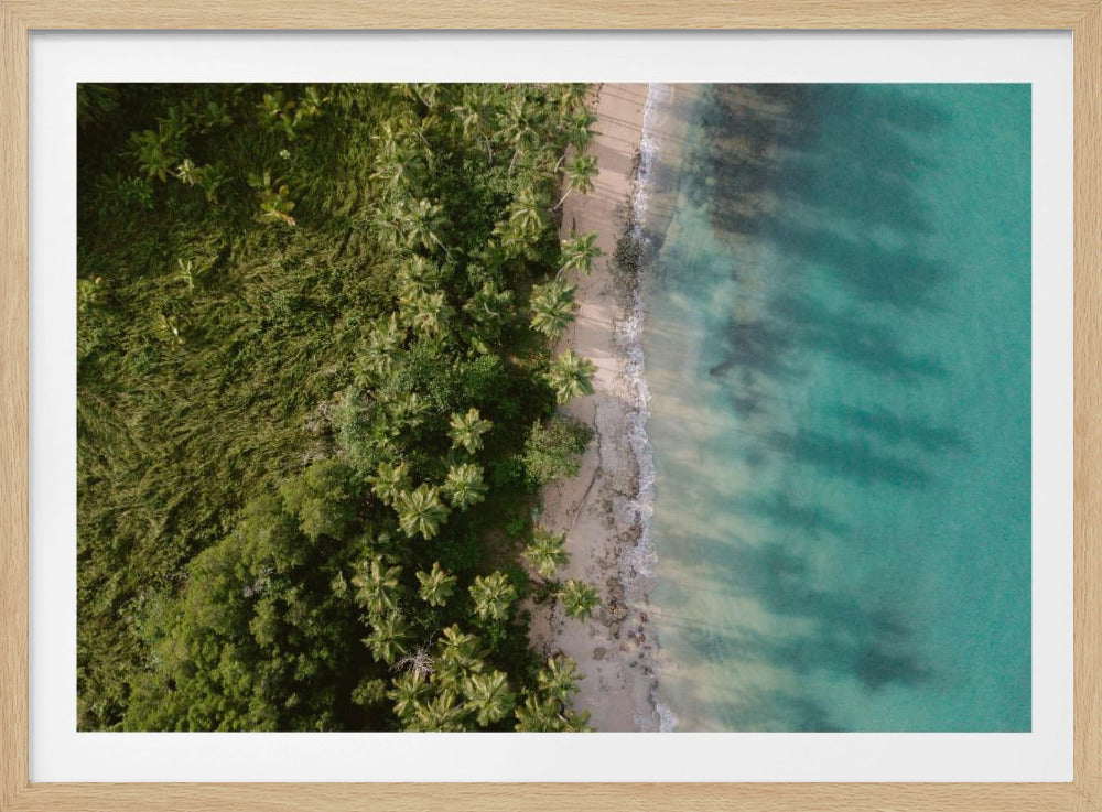 Grüner Strand von oben 2 | Poster