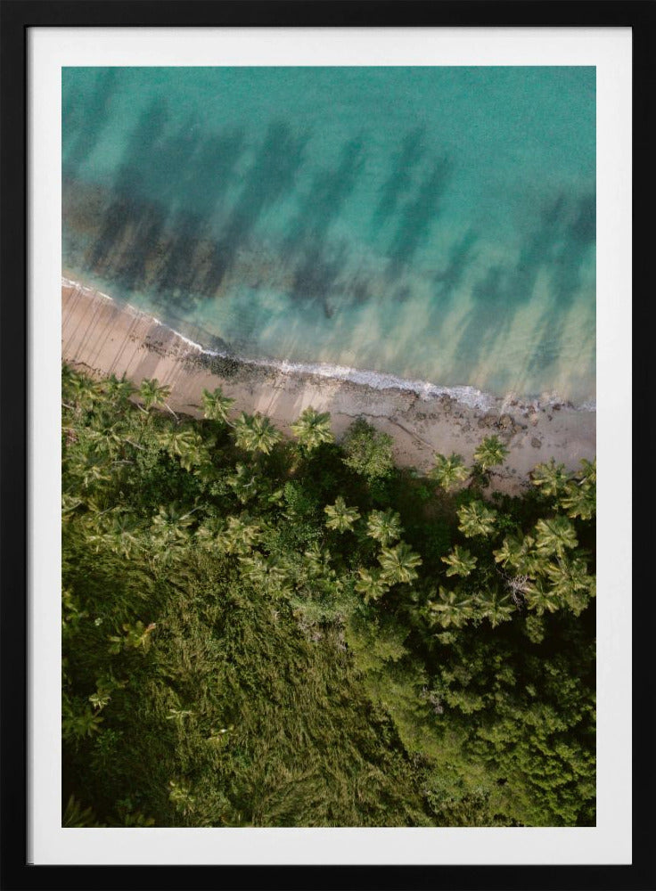 Palm Beach von oben | Poster
