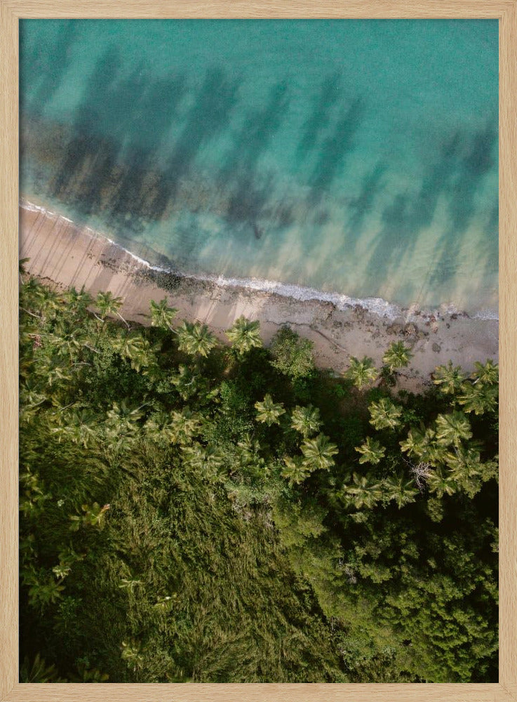 Palm Beach von oben | Poster