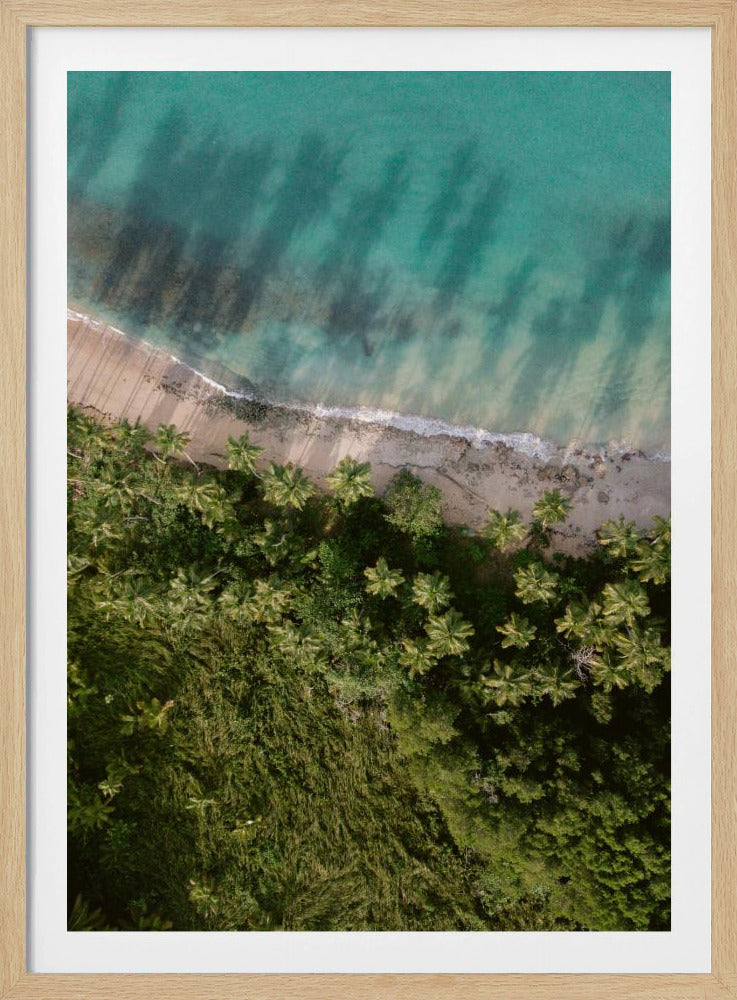 Palm Beach von oben | Poster