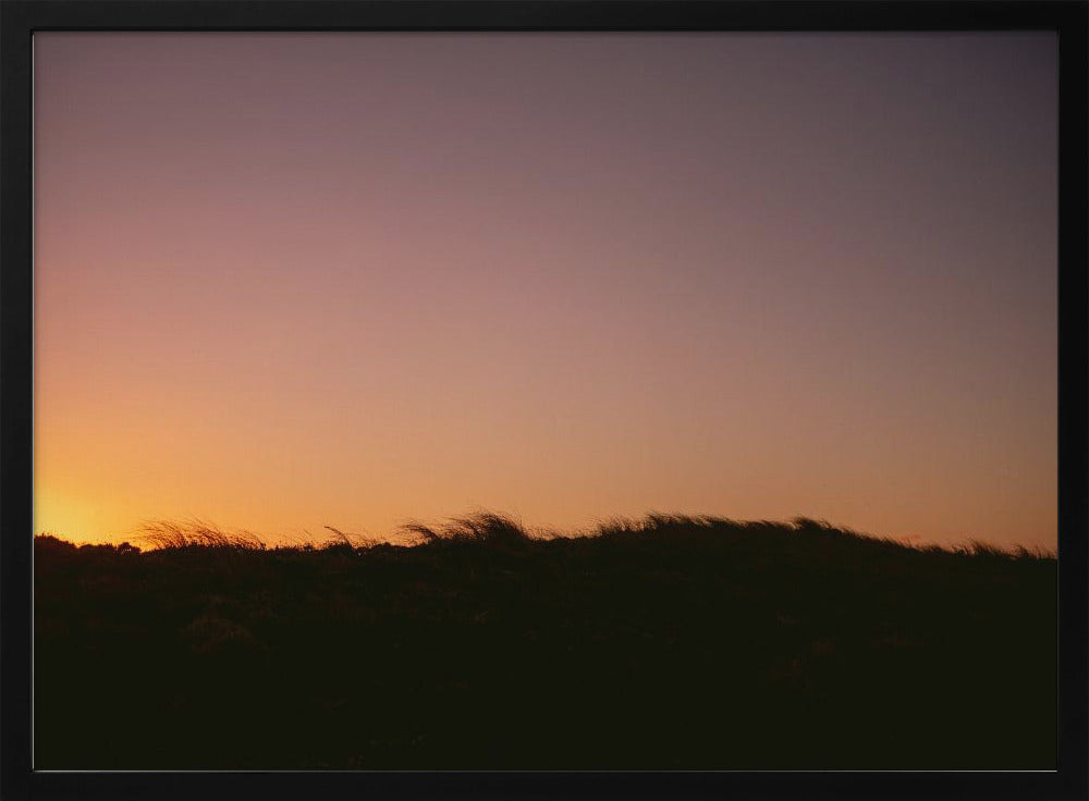 Dünengras Sonnenuntergang Horizontal | Poster