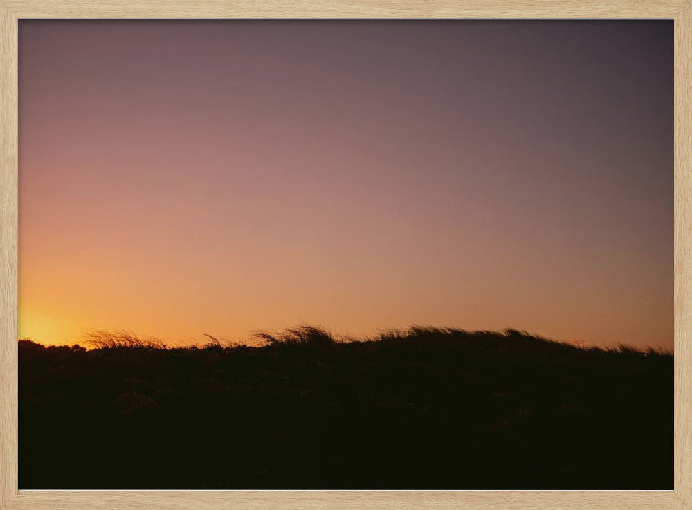 Dünengras Sonnenuntergang Horizontal | Poster