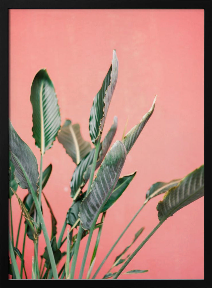 Südspanien 7 | Poster