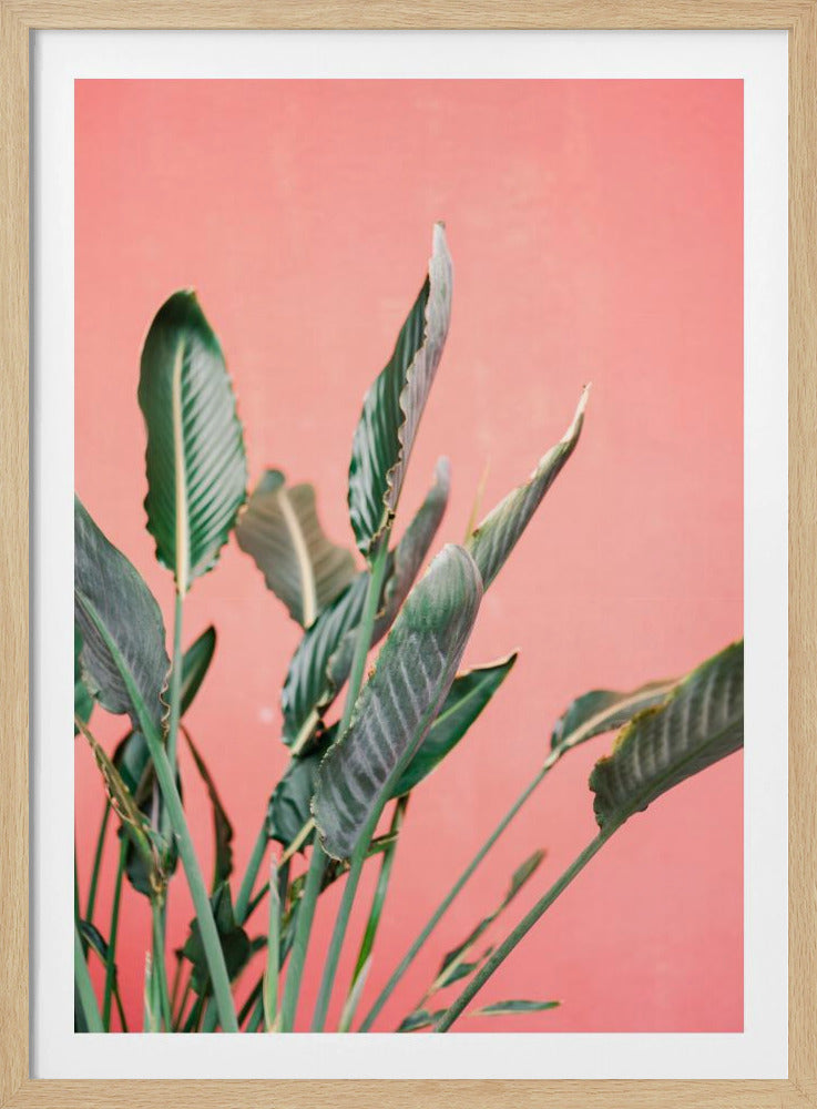 Südspanien 7 | Poster