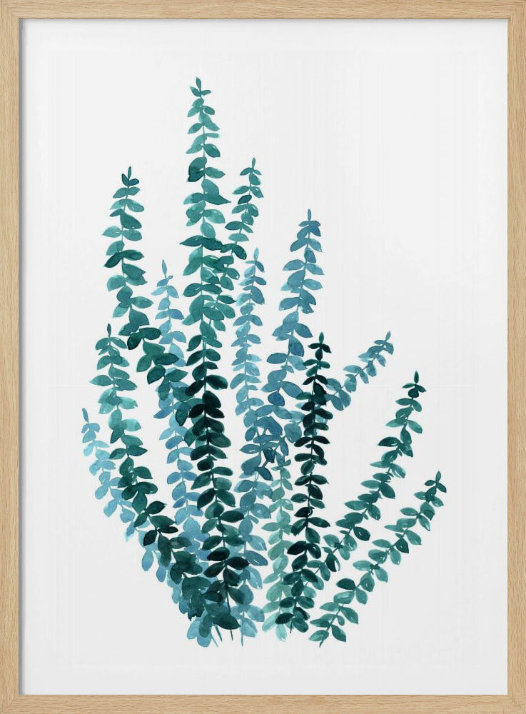 Aquarell Eukalyptuszweig in Blaugrün | Poster