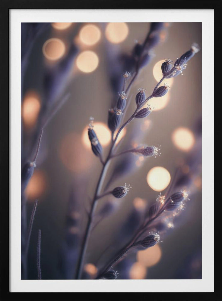 Verträumte Lavendeltöne | Poster