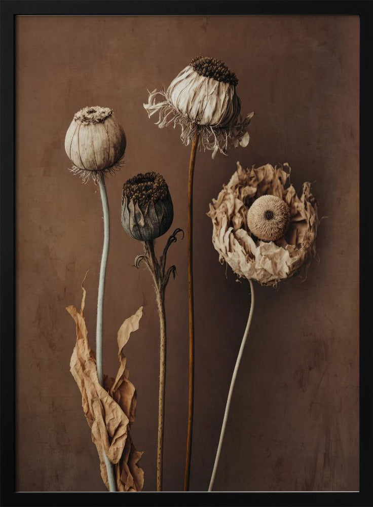 Faded Elegance | Poster