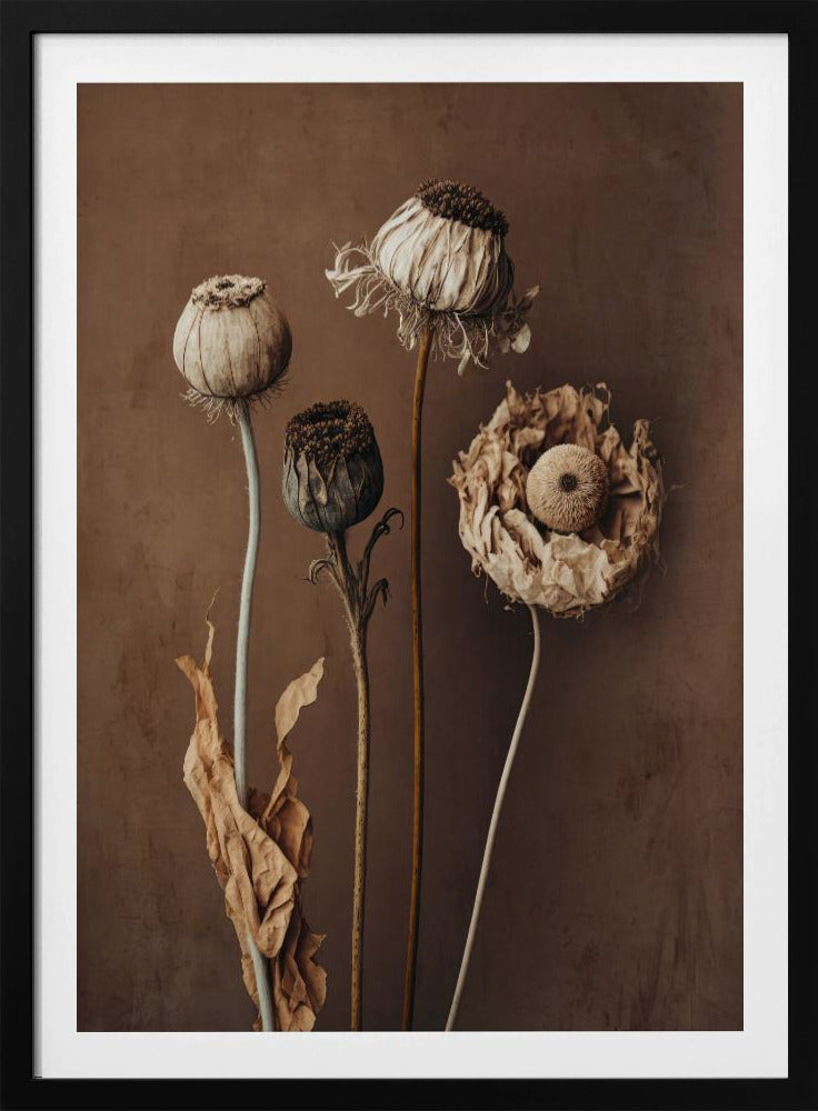 Faded Elegance | Poster