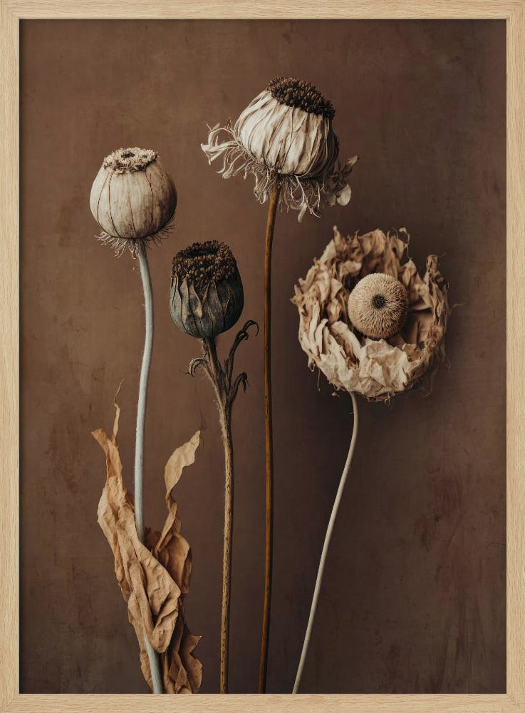 Faded Elegance | Poster