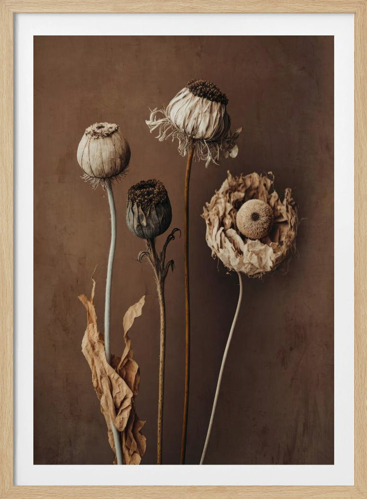 Faded Elegance | Poster