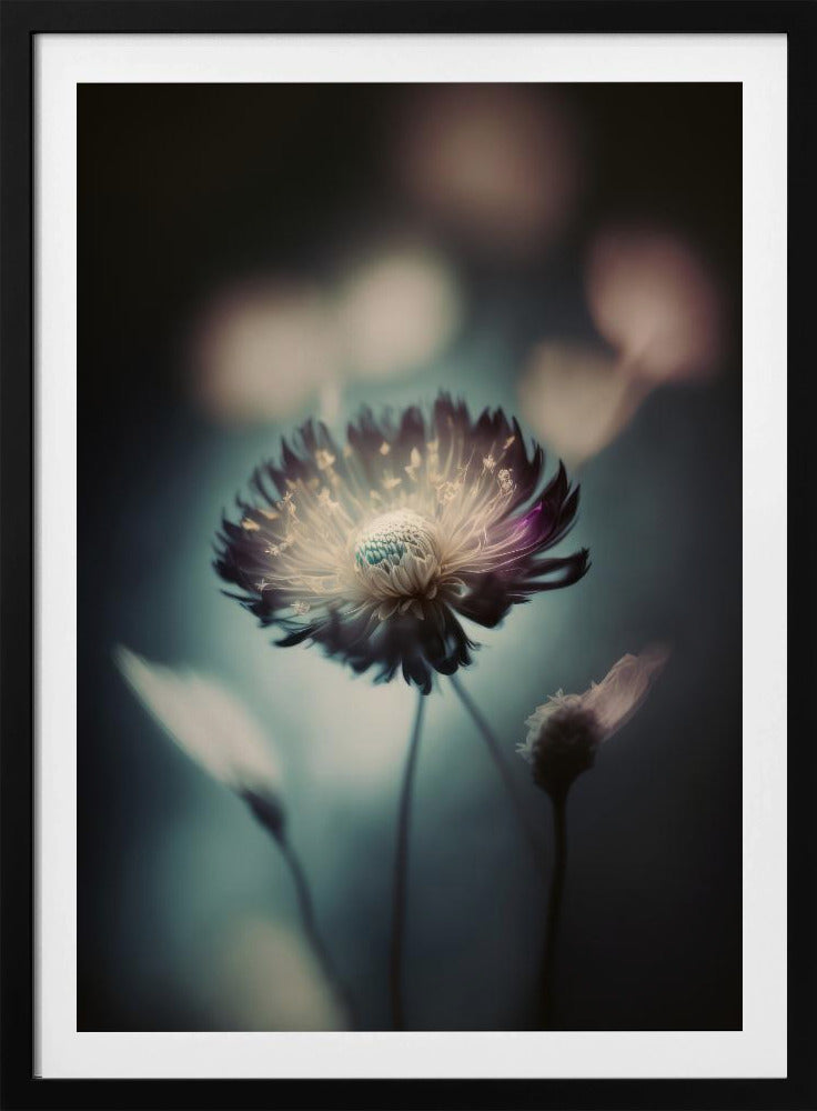 Ätherische Blüte | Poster