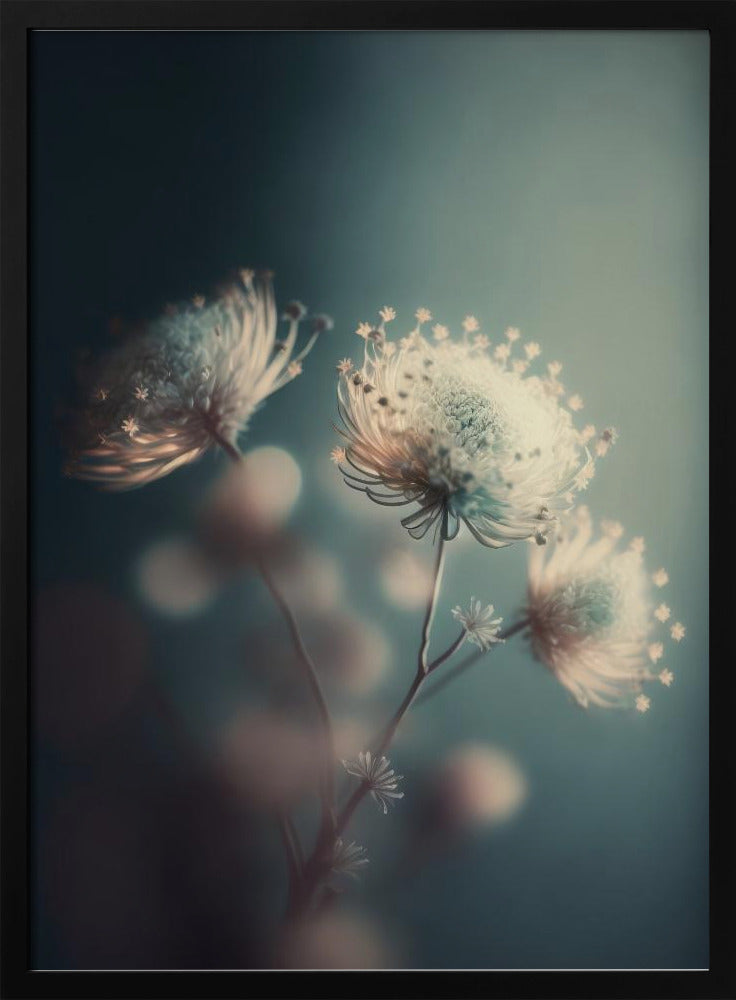 Ätherische Blüten | Poster