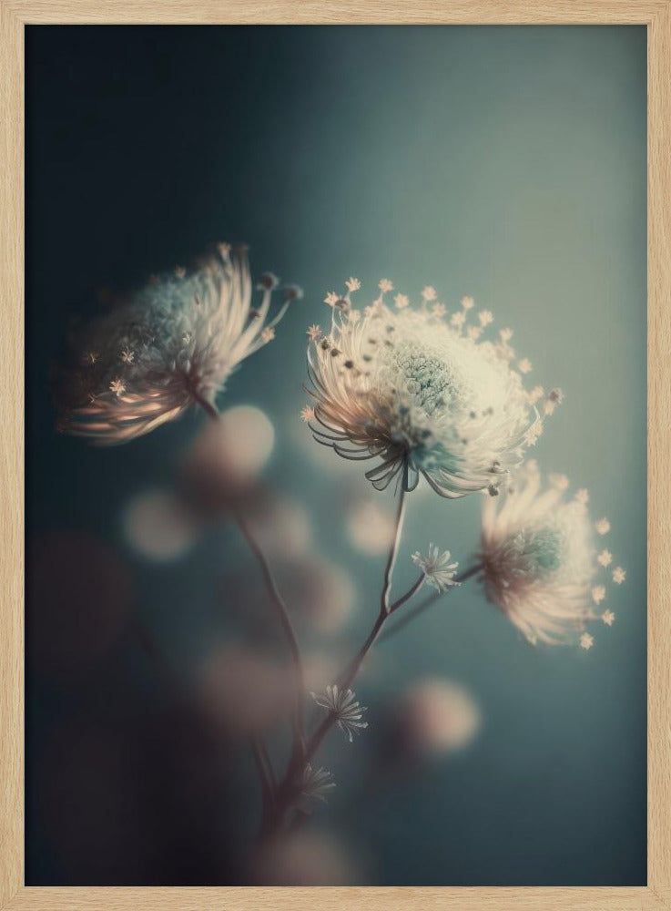 Ätherische Blüten | Poster