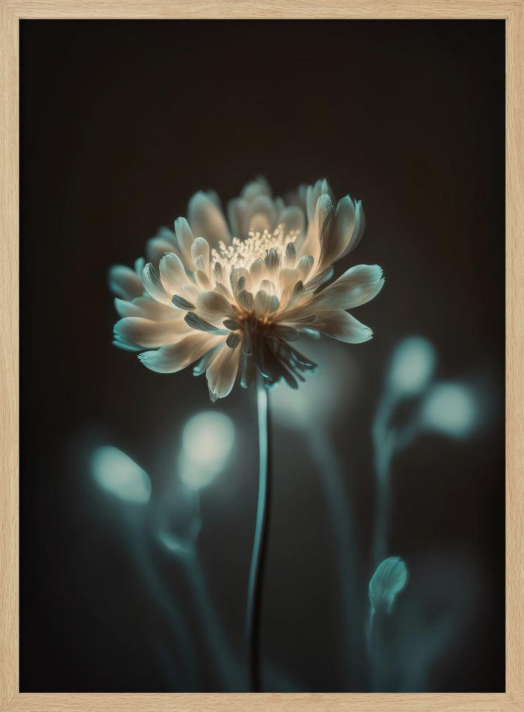 „Leuchtende Blüte“ | Poster