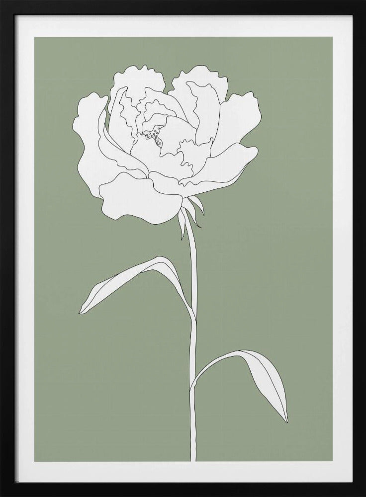 Rose in Grün | Poster