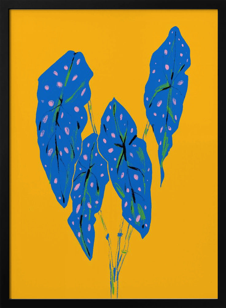 Begonia Maculata Blau und Gelb | Poster