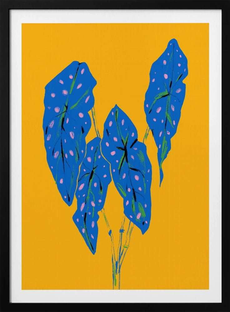 Begonia Maculata Blau und Gelb | Poster