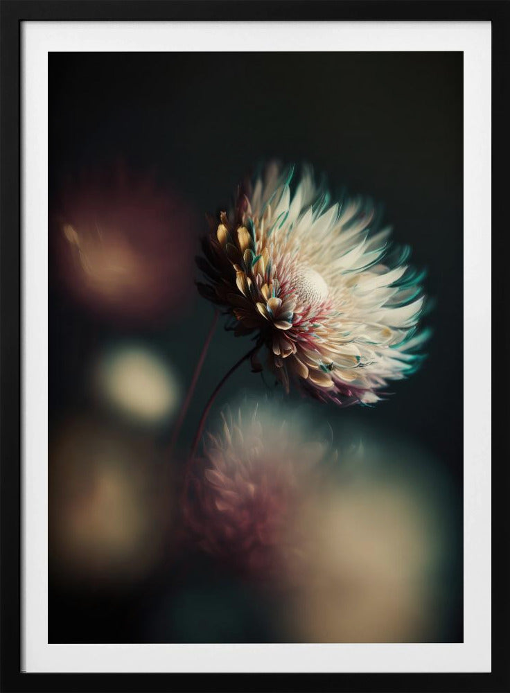 Flüsternde Blütenblätter | Poster