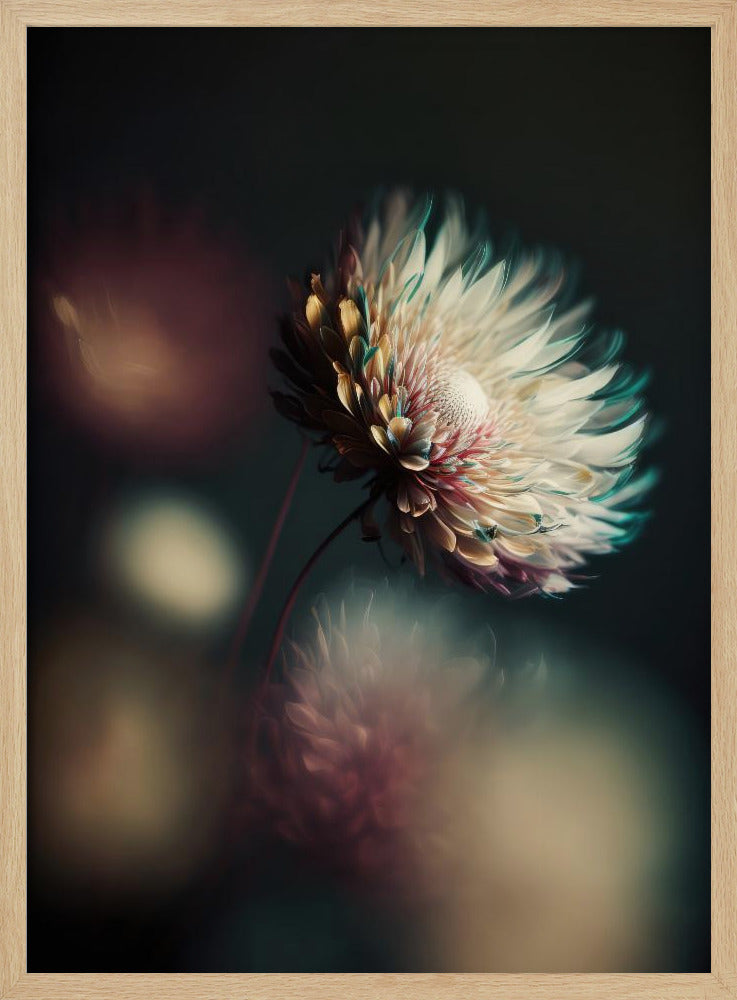 Flüsternde Blütenblätter | Poster