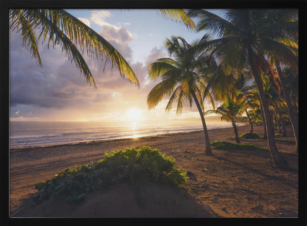 Guten Morgen Paradies | Poster