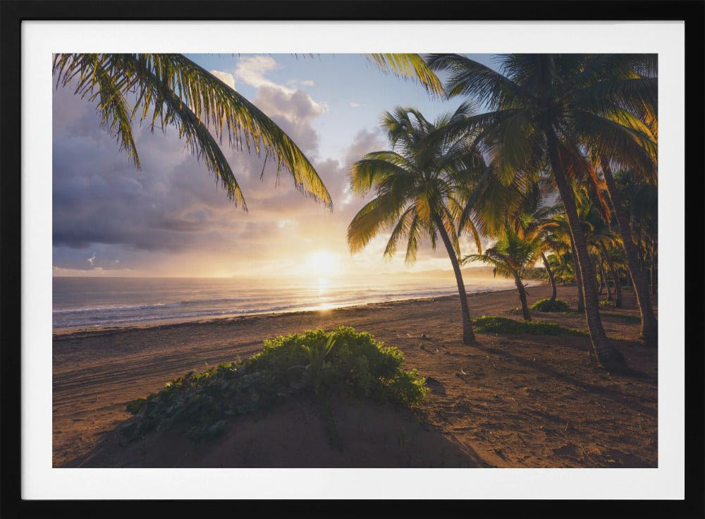 Guten Morgen Paradies | Poster