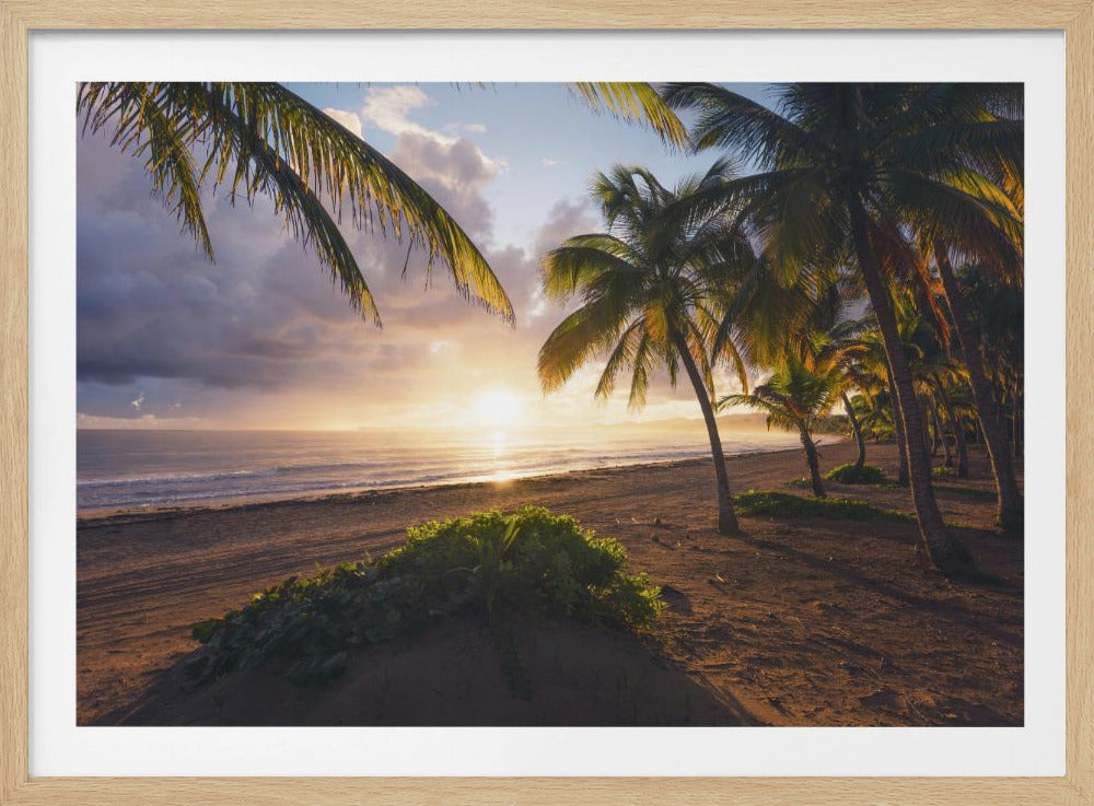 Guten Morgen Paradies | Poster