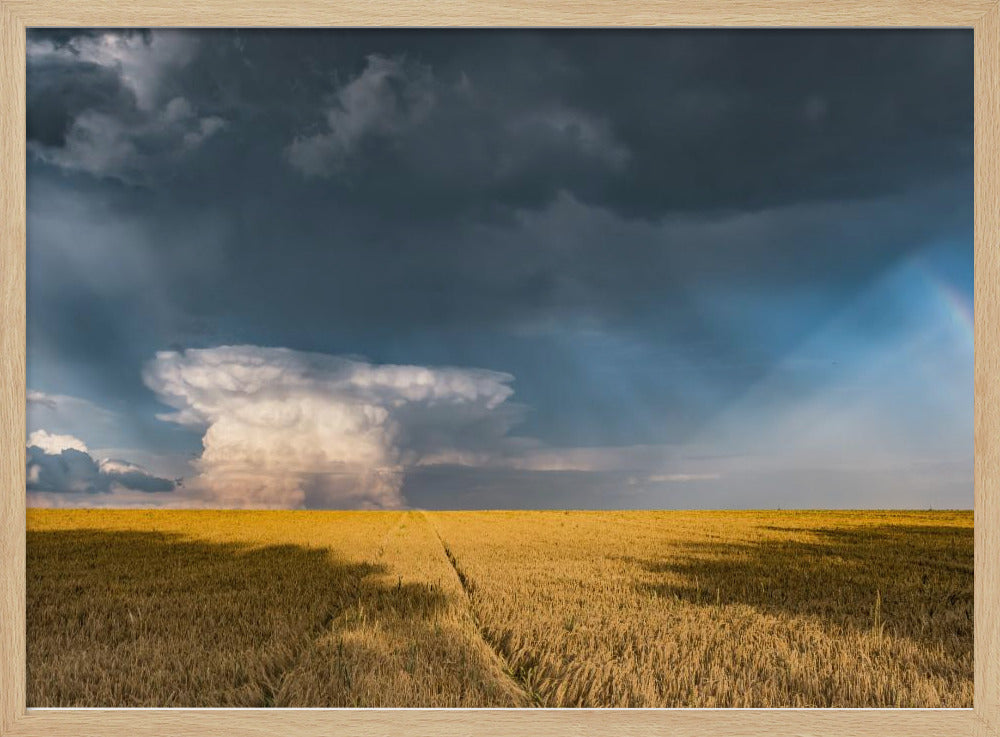 Gold und Donner | Poster