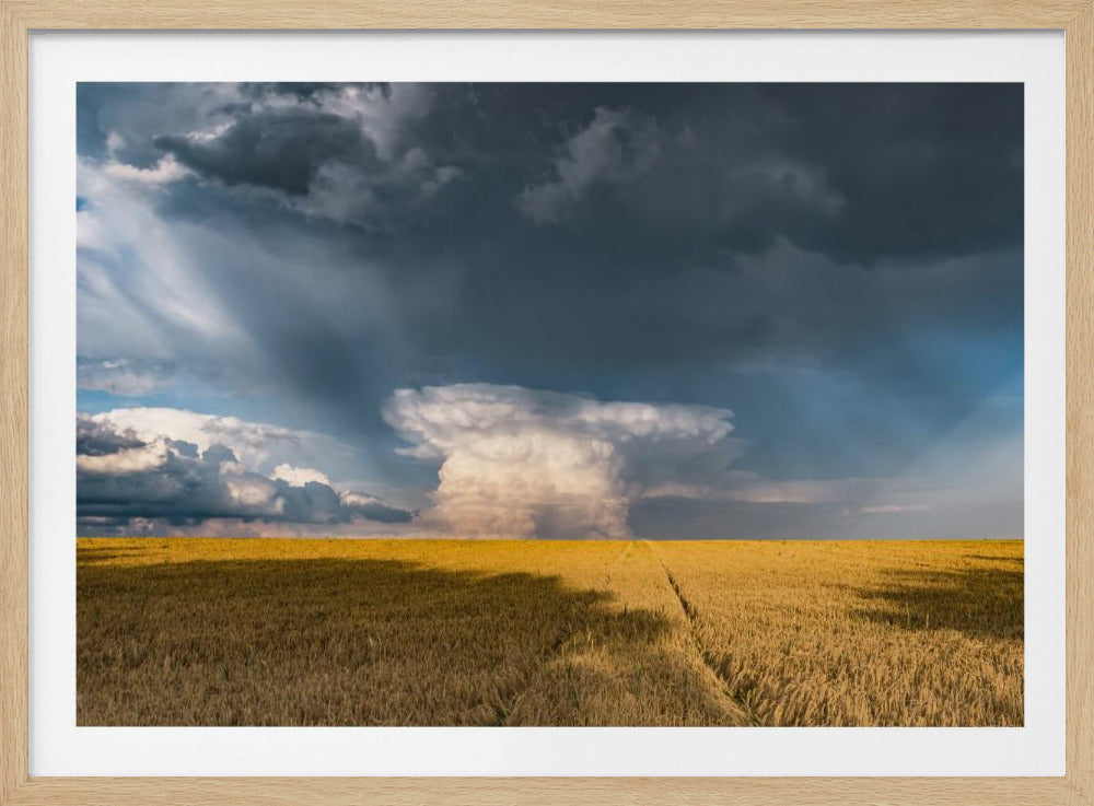 Gold und Donner | Poster