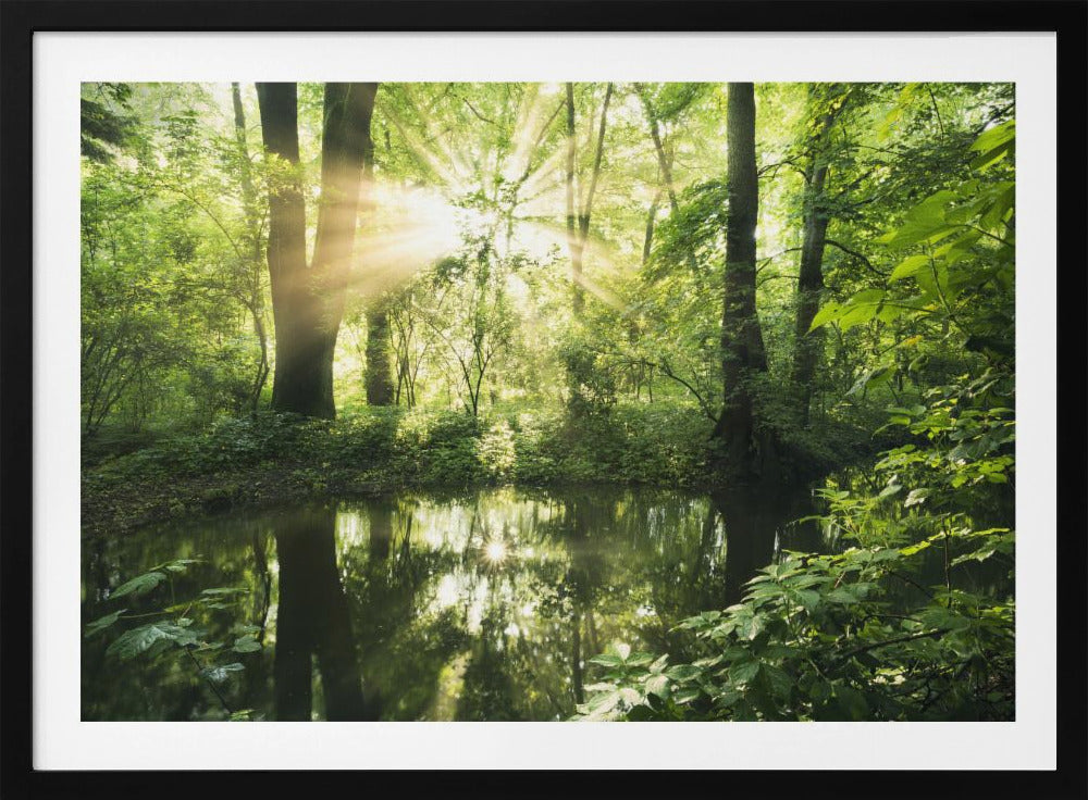 Grüner Park | Poster