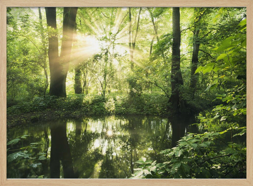 Grüner Park | Poster