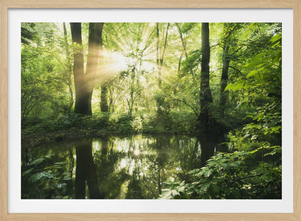Grüner Park | Poster