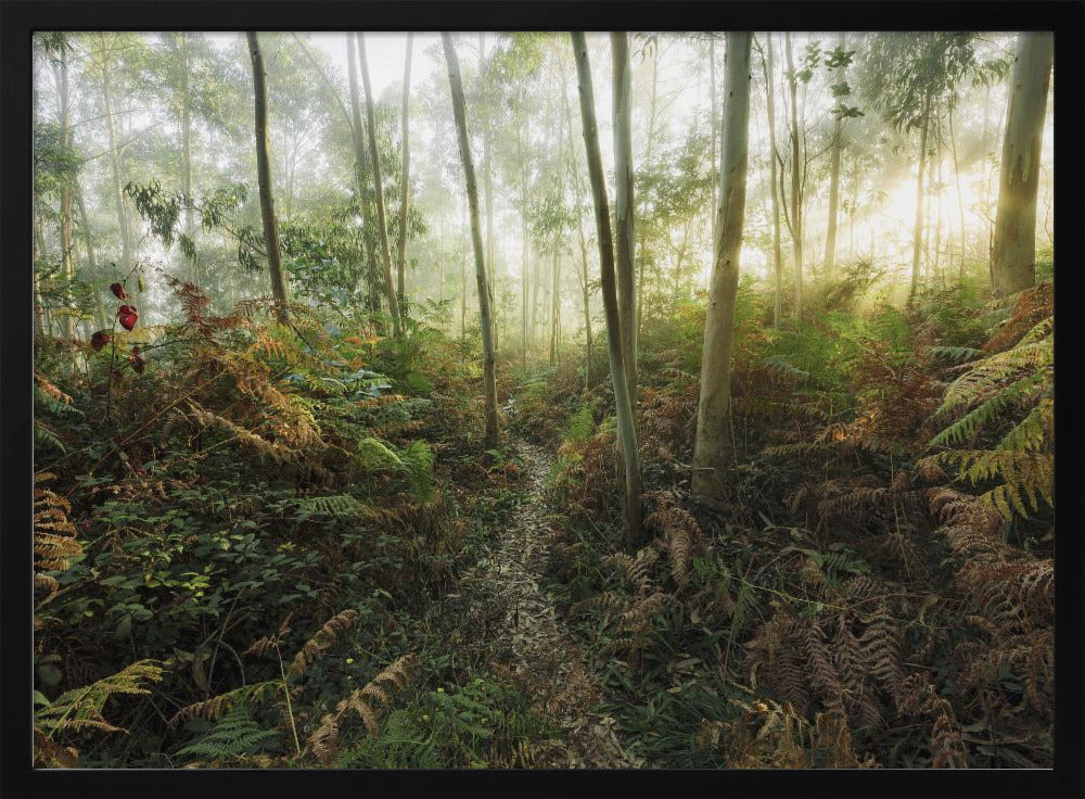 Nebliger Wald II | Poster