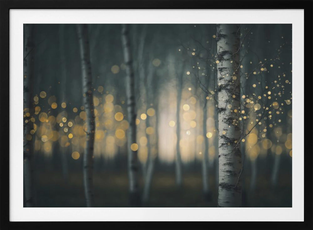 Verzauberte Birken | Poster