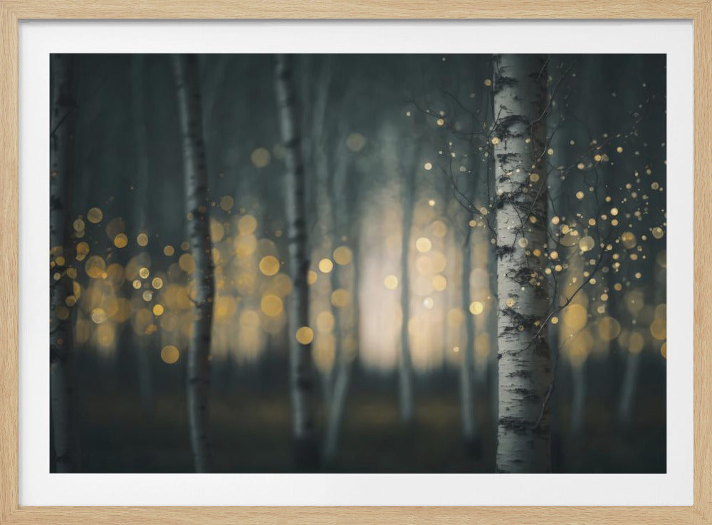 Verzauberte Birken | Poster