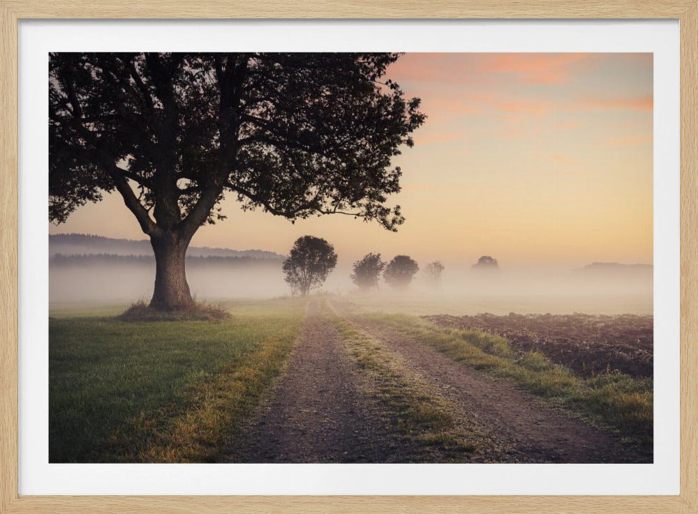 Mystischer Pfad | Poster