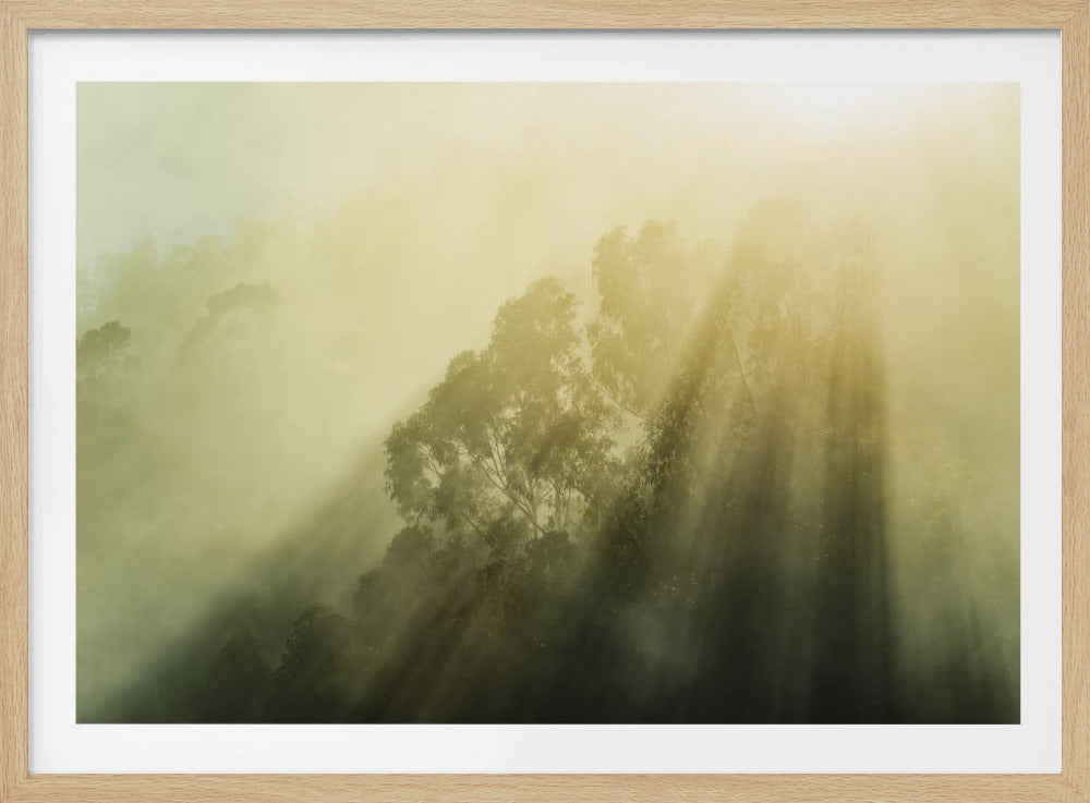 Nebliger Wald III | Poster