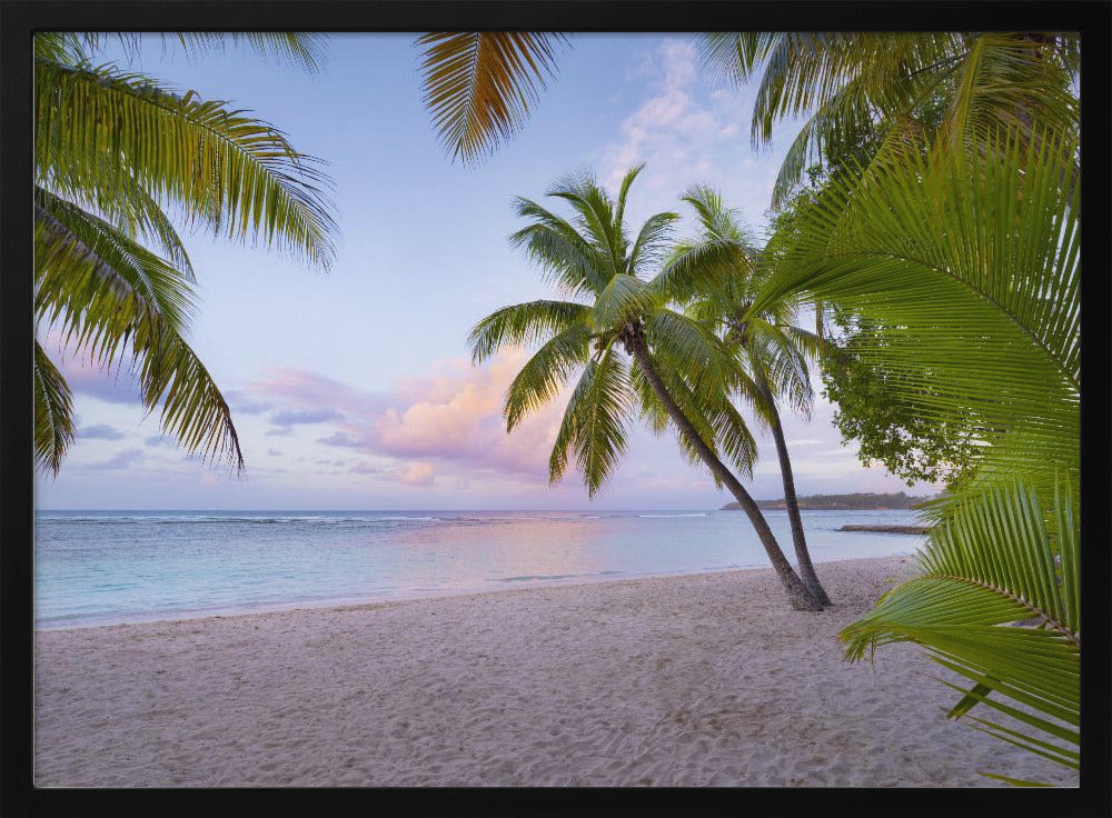 Tropischer Strand | Poster
