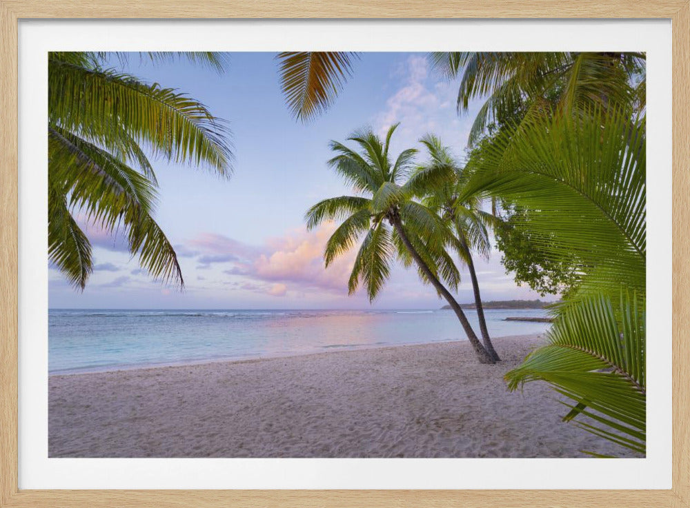 Tropischer Strand | Poster