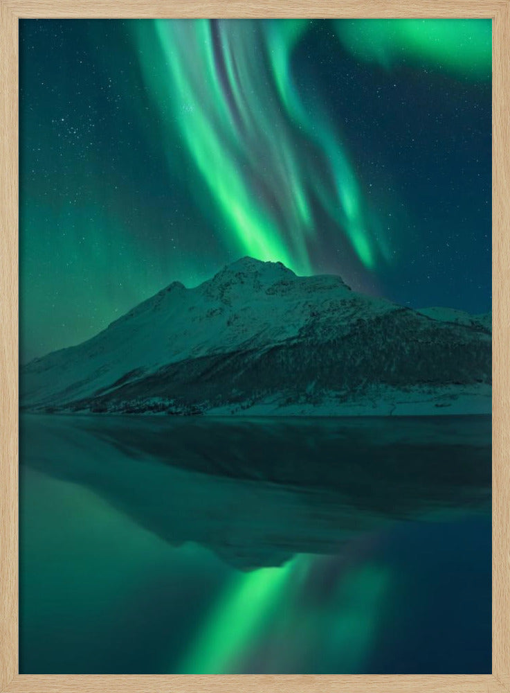 Reflektierende Fee | Poster