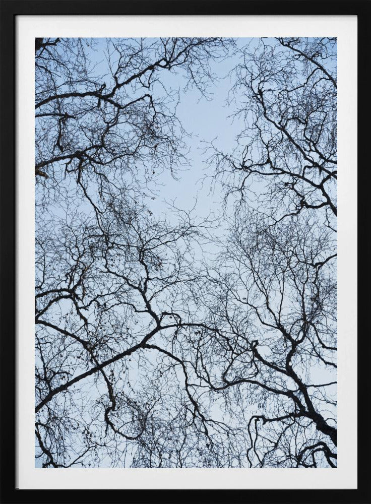 Abstrakter Baum | Poster