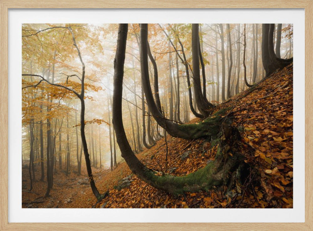 Mystischer Herbstwald | Poster
