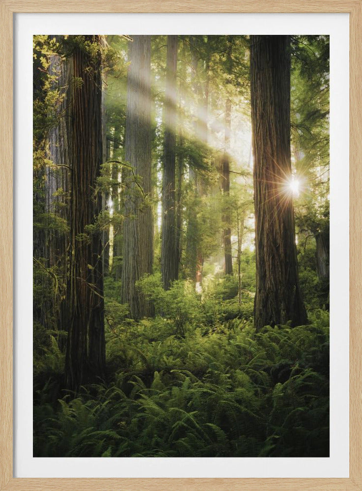 Feenwald | Poster
