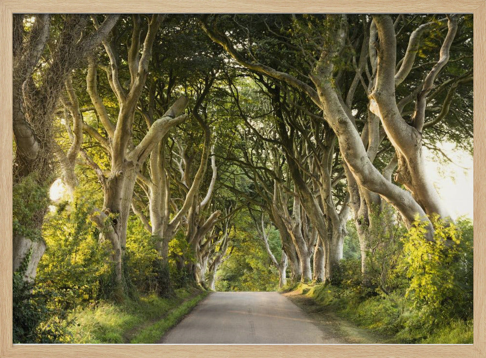 Goldene Gasse | Poster