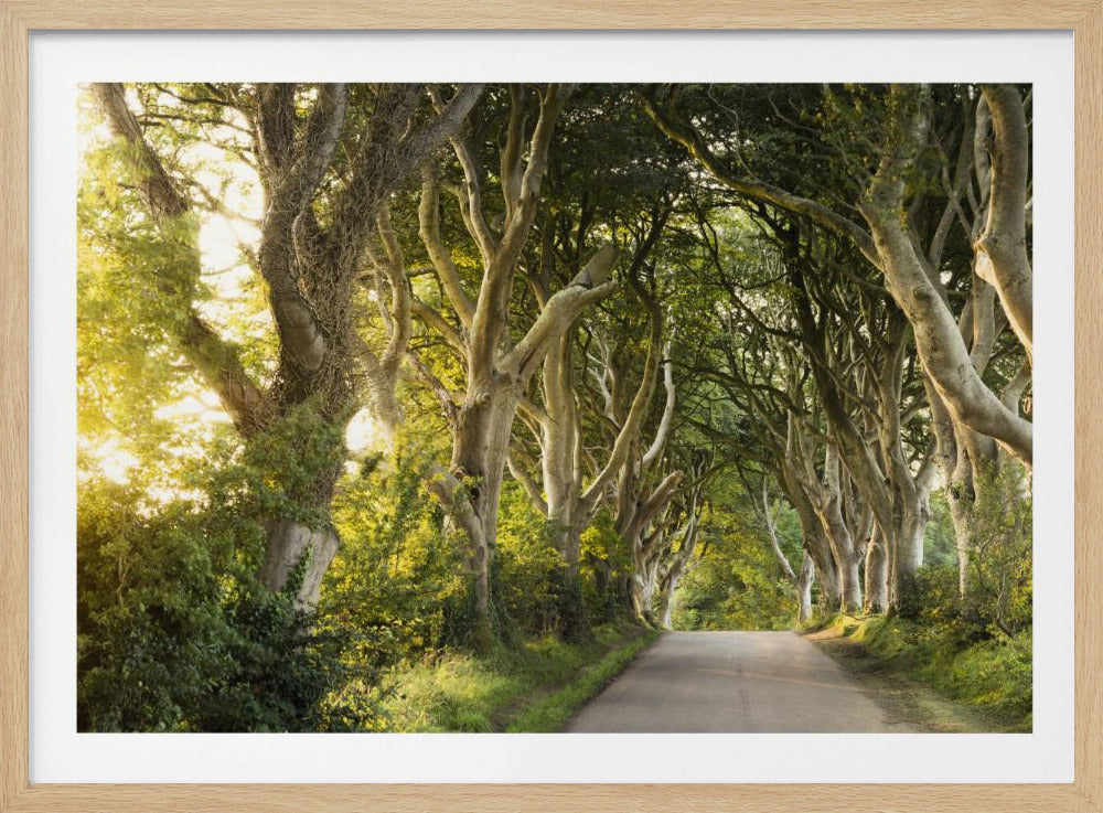 Goldene Gasse | Poster