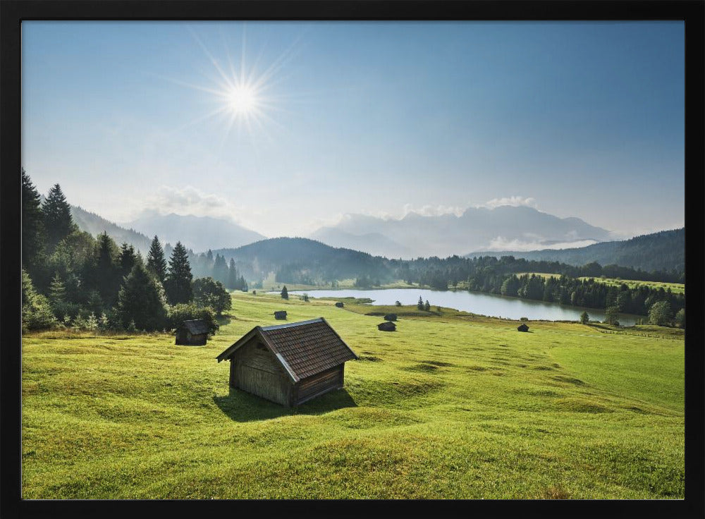 Sommerwiese | Poster