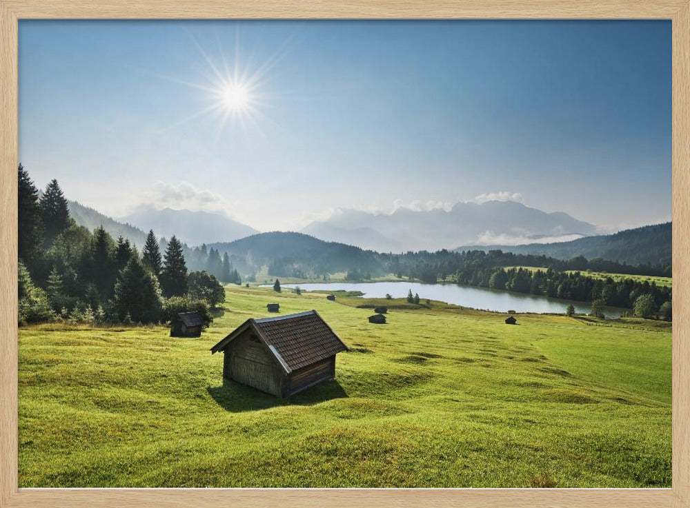 Sommerwiese | Poster
