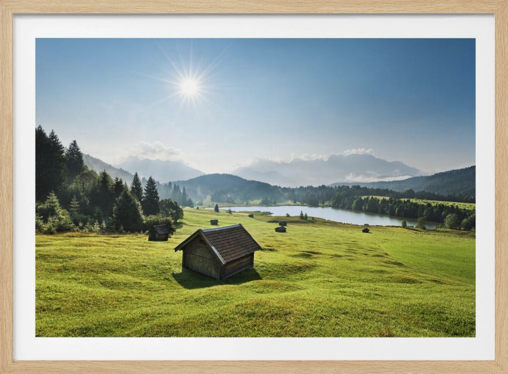 Sommerwiese | Poster