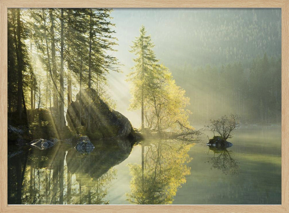 God Rays | Poster