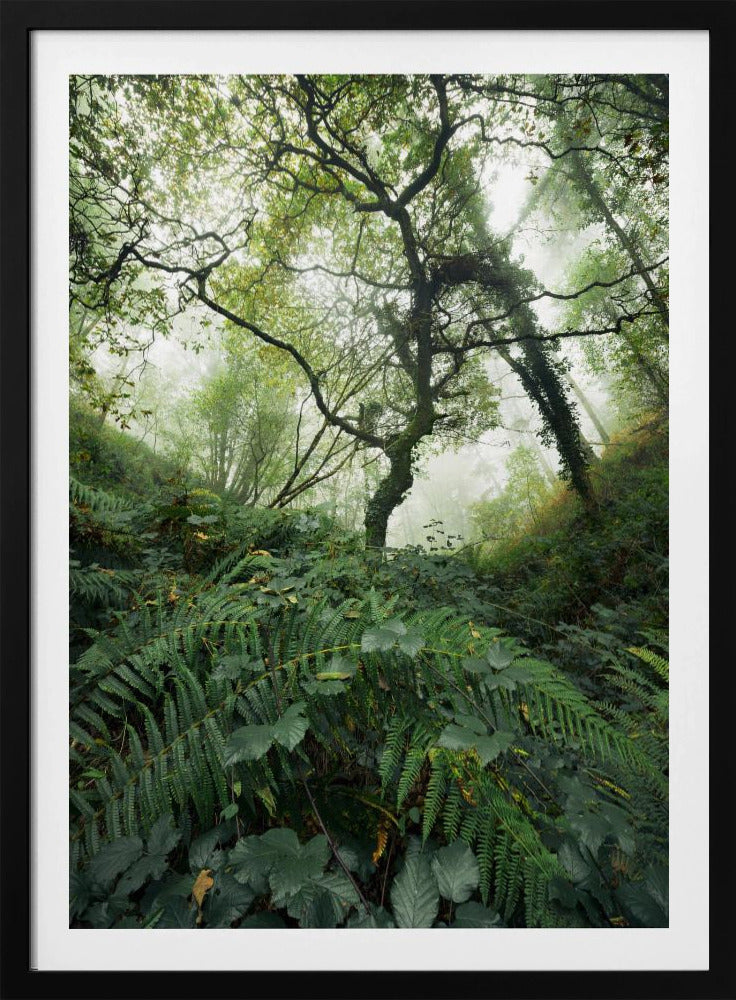 Tree World | Poster